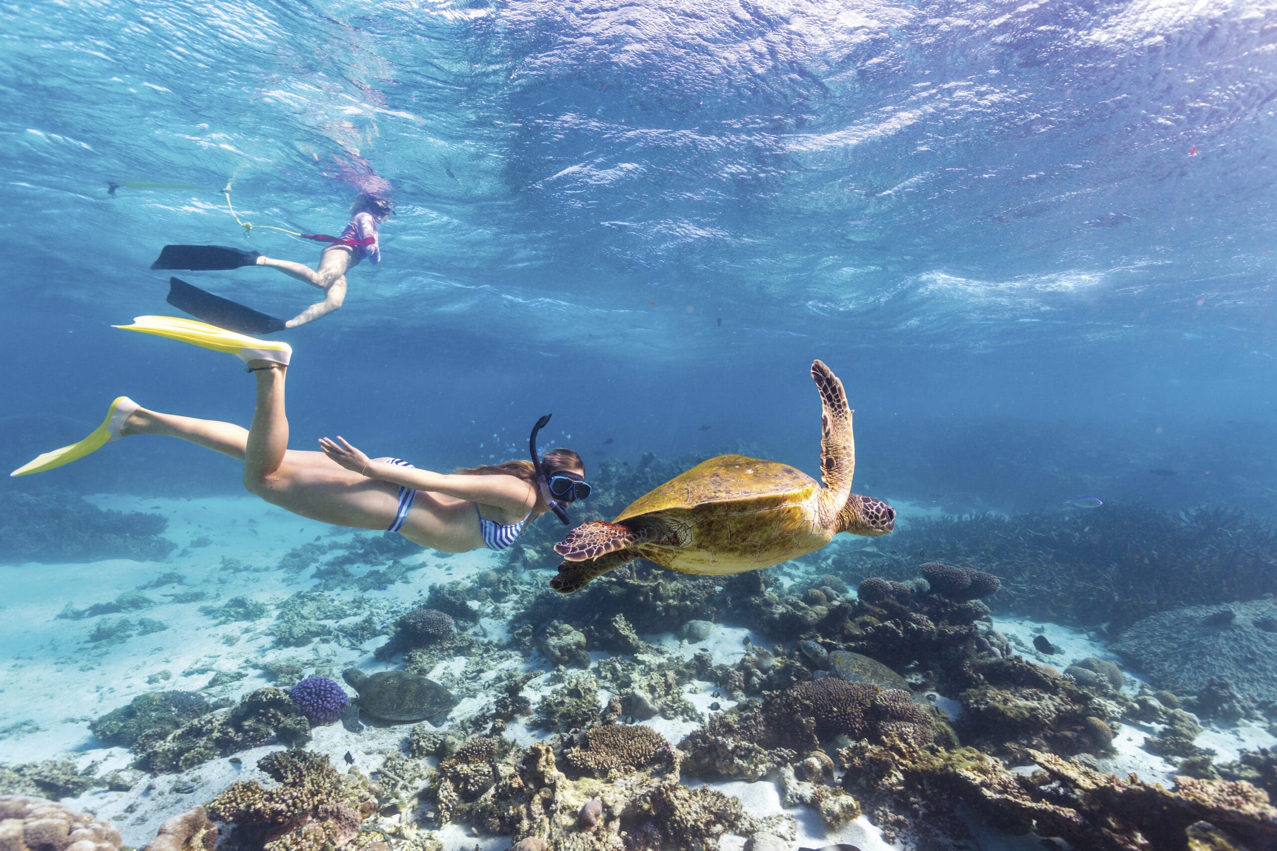 Lady swimming with turtle at Coral Bay