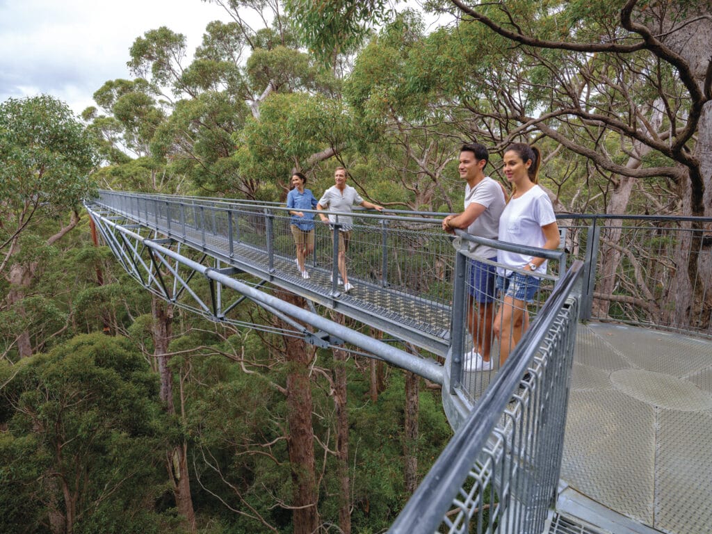 Tree Top Walk