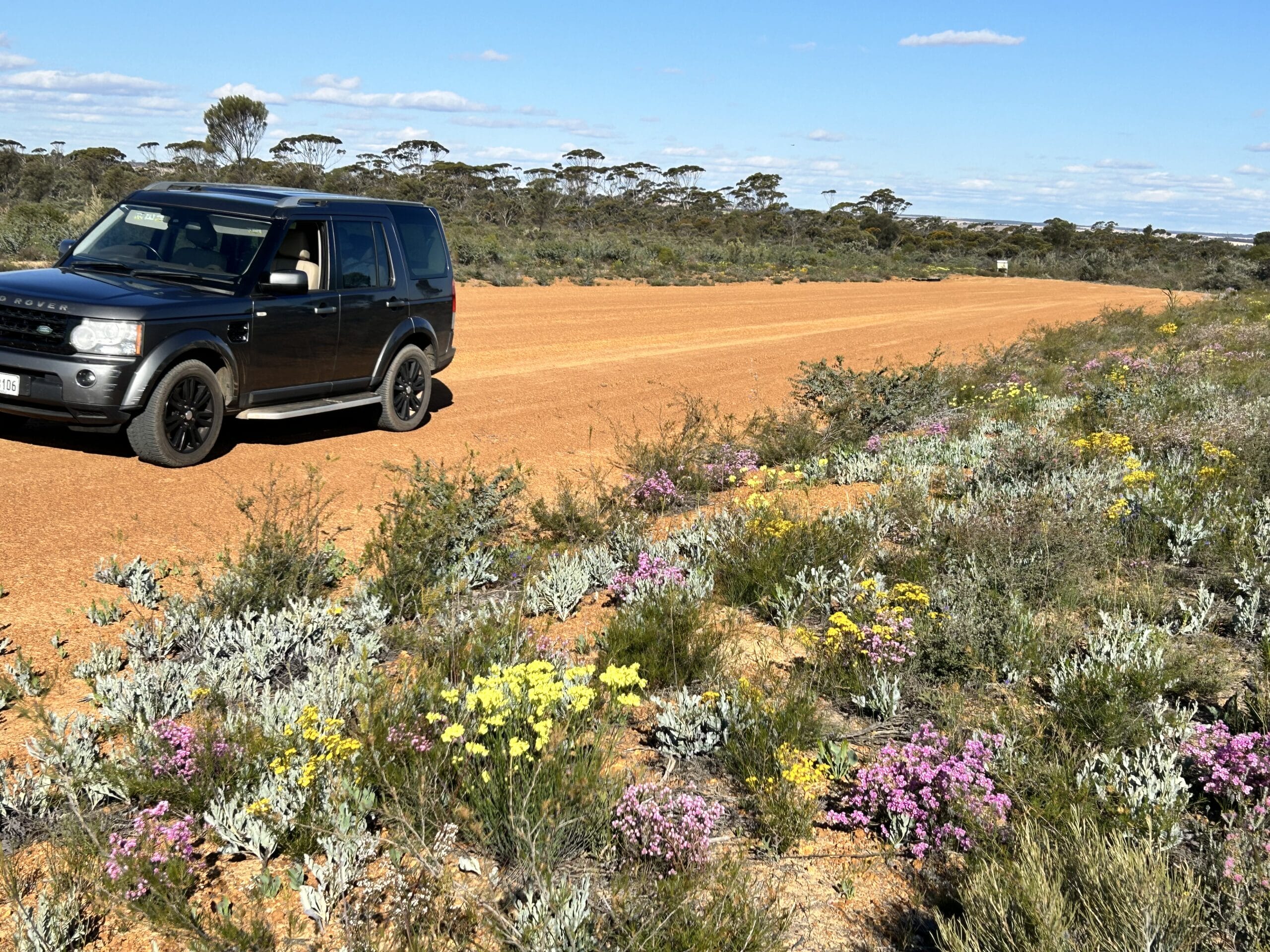 Wildflower tour car