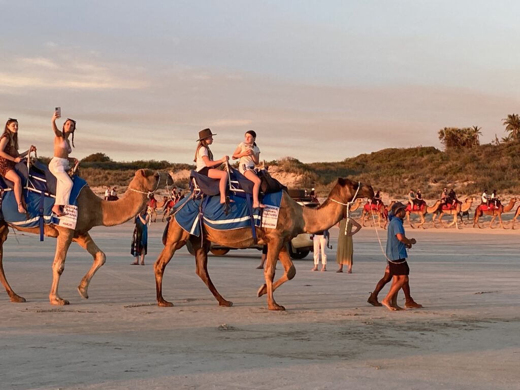 Perth to Broome 14 Day Tour