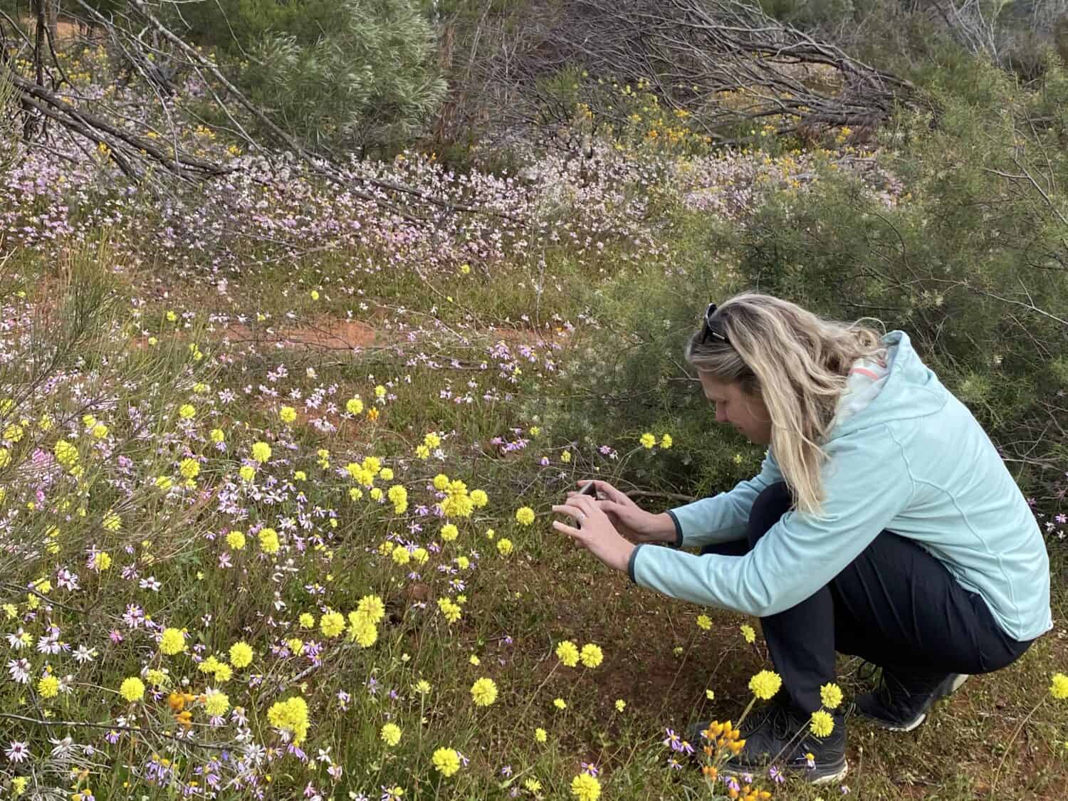 phtographing wildflowers in WA
