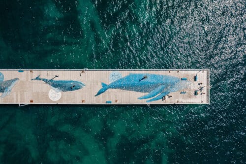 Aerial View of the Blue Whale Artwork on Busselton Jetty