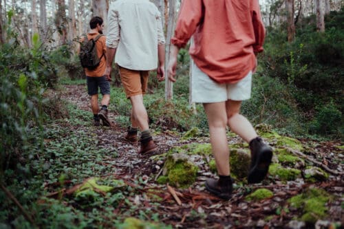 'Walk into Luxury' guests hiking through the Boranup Karri Forest, part of the Leeuwin-Naturaliste National Park.