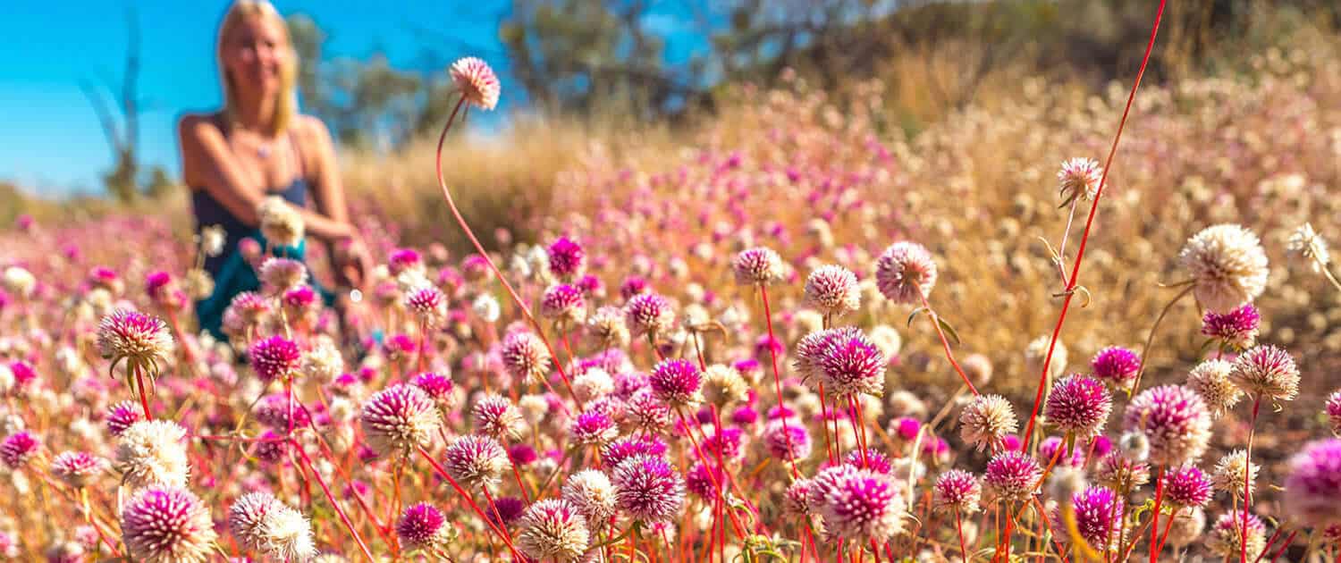 Top 10 Wildflower Sites in Western Australia!